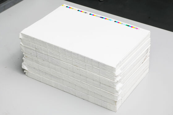 Macchina avvolgitrice di carta posteriore